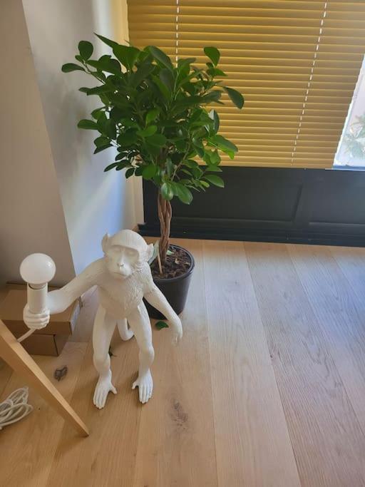 Appartement Luxe "La Providence" , Plein Centre Vichy Exteriér fotografie